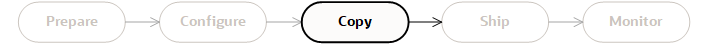 Copy phase indicator for disk transfer