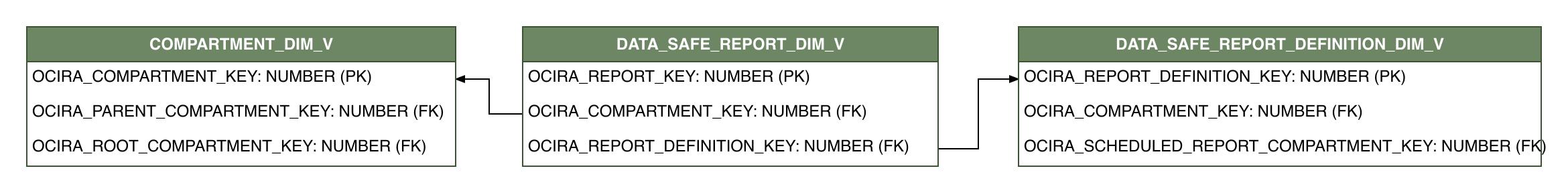 Relationship diagram showing the dimension table, DATA_SAFE_REPORT_DIM_V.