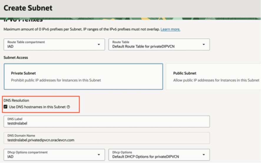 Description of fawag-fdi-pvt-instance-dnshostname-subnet-oak.png follows