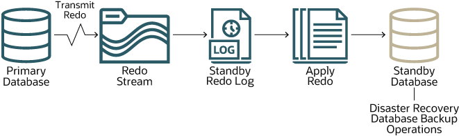 Description of autonomous-data-guard.eps follows