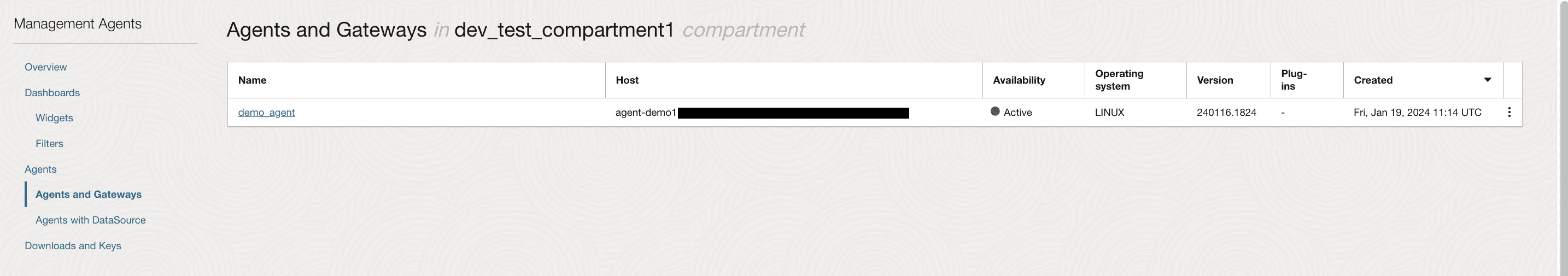 Agents and Gateways page that shows all management agents and management gateways installed.