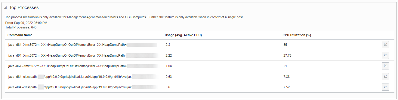 Image shows the Top Processes table for hosts.