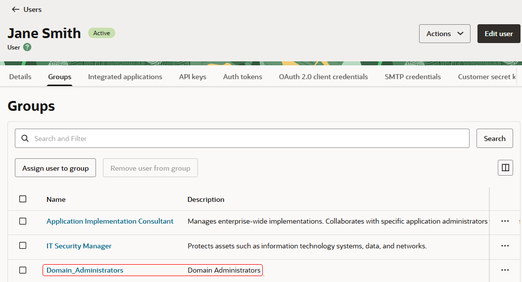 Assign a user to the Domain_Administrators group in IAM.