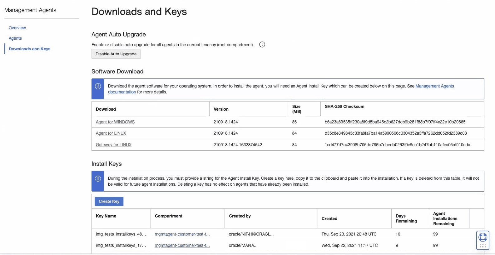 Downloads and Keys page that shows the Software Download at the top with a link to download the software file. Downloads and Keys page that shows the Software Download at the top with a link to download the software file.